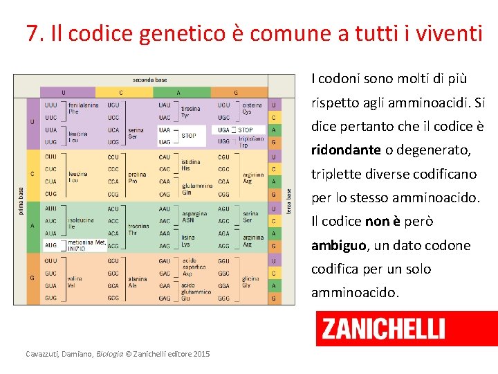 7. Il codice genetico è comune a tutti i viventi I codoni sono molti