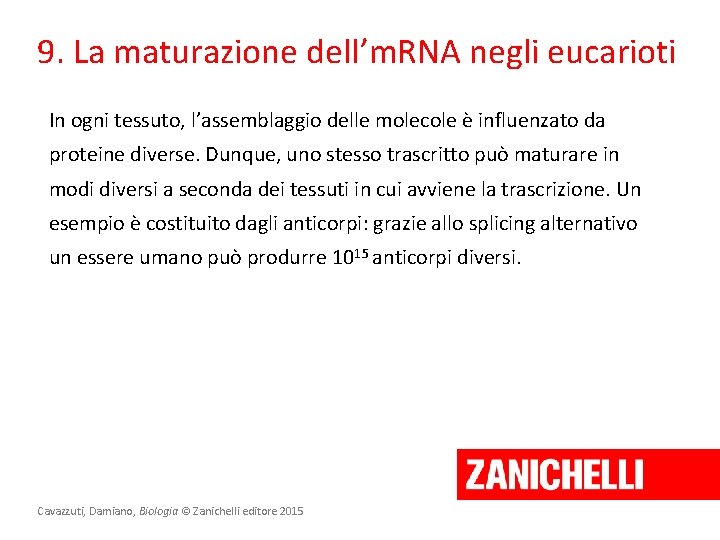 9. La maturazione dell’m. RNA negli eucarioti In ogni tessuto, l’assemblaggio delle molecole è