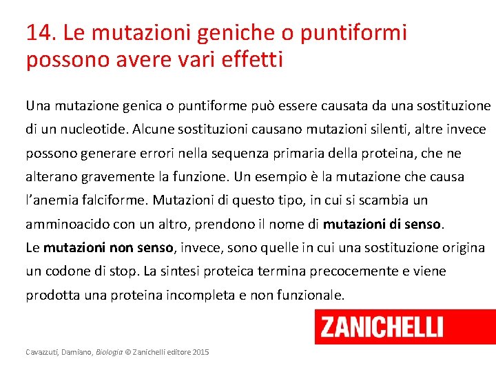 14. Le mutazioni geniche o puntiformi possono avere vari effetti Una mutazione genica o