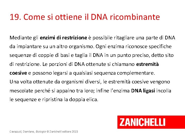 19. Come si ottiene il DNA ricombinante Mediante gli enzimi di restrizione è possibile