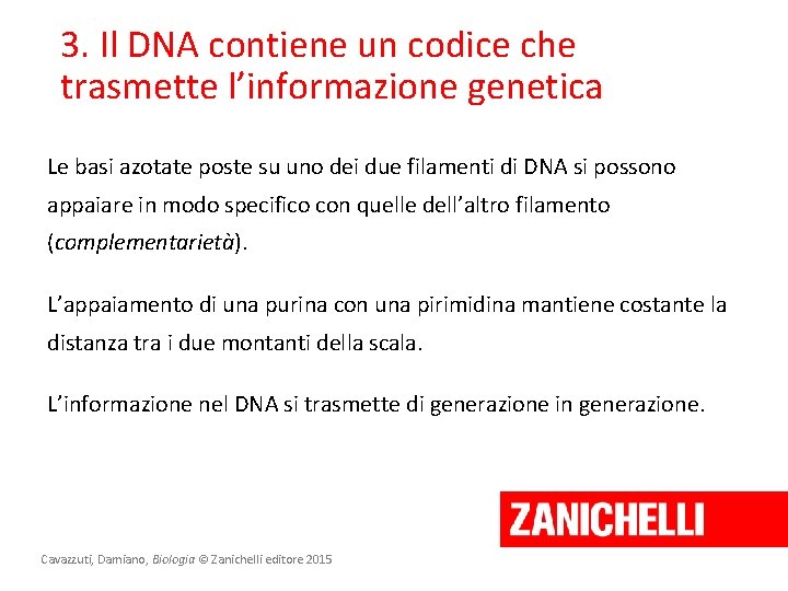 3. Il DNA contiene un codice che trasmette l’informazione genetica Le basi azotate poste
