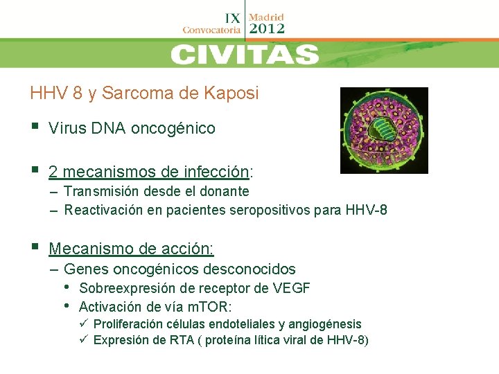 HHV 8 y Sarcoma de Kaposi § Virus DNA oncogénico § 2 mecanismos de