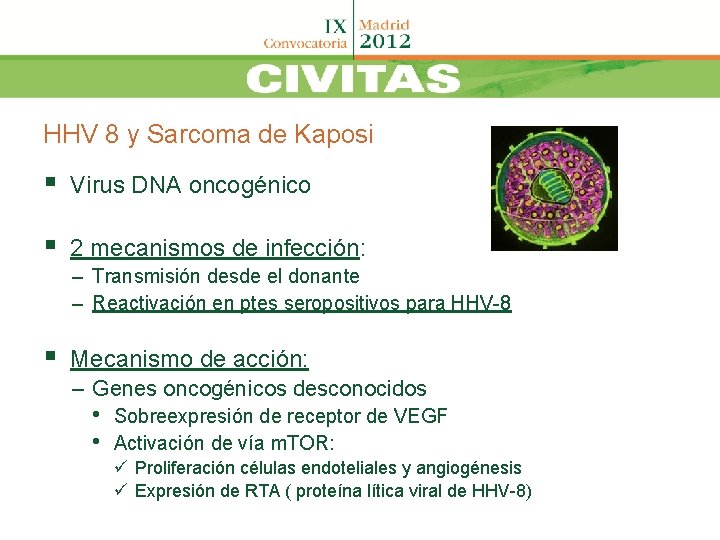 HHV 8 y Sarcoma de Kaposi § Virus DNA oncogénico § 2 mecanismos de