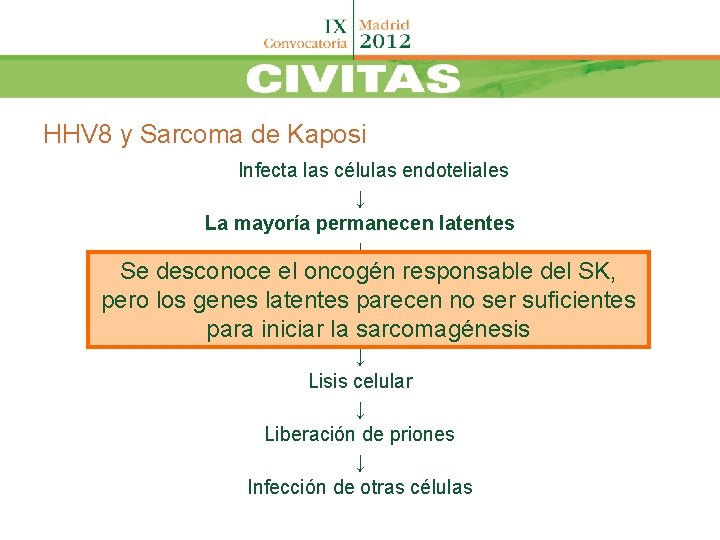 HHV 8 y Sarcoma de Kaposi Se pero Infecta las células endoteliales ↓ La