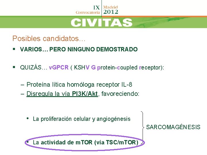 Posibles candidatos… § VARIOS… PERO NINGUNO DEMOSTRADO § QUIZÁS… v. GPCR ( KSHV G