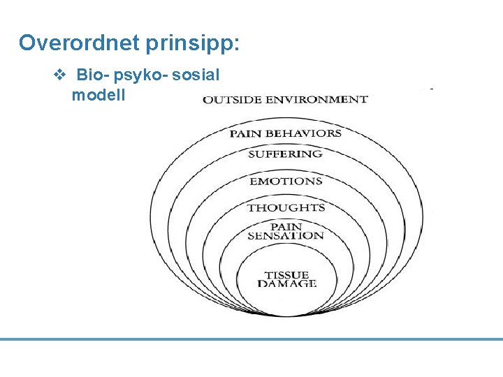 Overordnet prinsipp: v Bio- psyko- sosial modell 