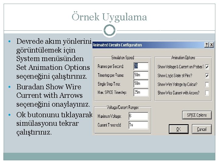 Örnek Uygulama • Devrede akım yönlerini görüntülemek için System menüsünden Set Animation Options seçeneğini