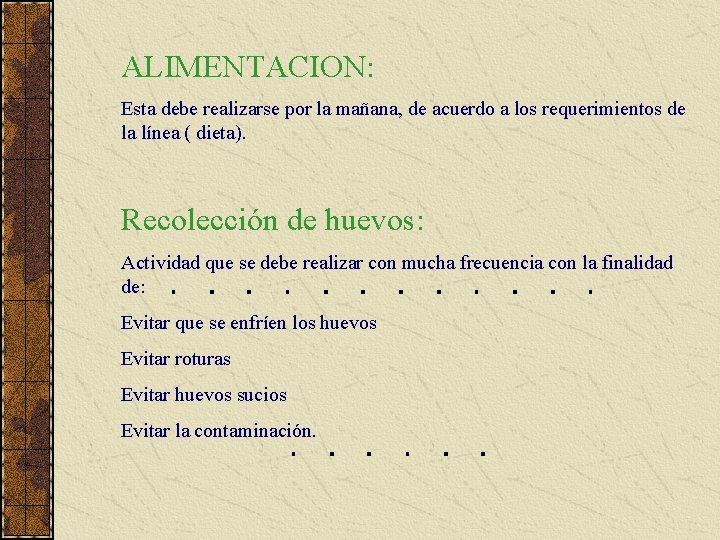 ALIMENTACION: Esta debe realizarse por la mañana, de acuerdo a los requerimientos de la