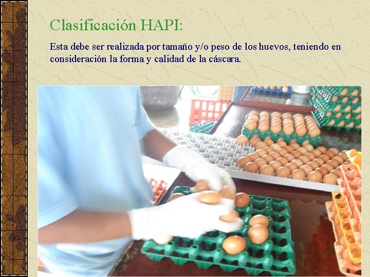 Clasificación HAPI: Esta debe ser realizada por tamaño y/o peso de los huevos, teniendo