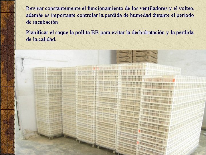 Revisar constantemente el funcionamiento de los ventiladores y el volteo, además es importante controlar