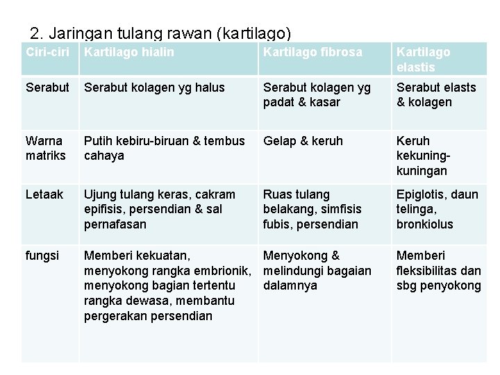 2. Jaringan tulang rawan (kartilago) Ciri-ciri Kartilago hialin Kartilago fibrosa Kartilago elastis Serabut kolagen