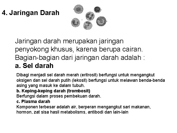 4. Jaringan Darah Jaringan darah merupakan jaringan penyokong khusus, karena berupa cairan. Bagian-bagian dari