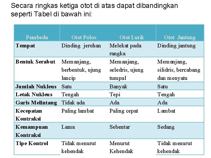 Secara ringkas ketiga otot di atas dapat dibandingkan seperti Tabel di bawah ini: Pembeda