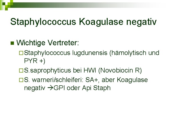 Staphylococcus Koagulase negativ n Wichtige Vertreter: ¨ Staphylococcus lugdunensis (hämolytisch und PYR +) ¨