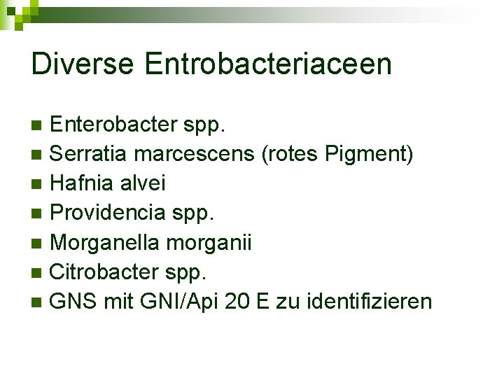 Diverse Entrobacteriaceen Enterobacter spp. n Serratia marcescens (rotes Pigment) n Hafnia alvei n Providencia