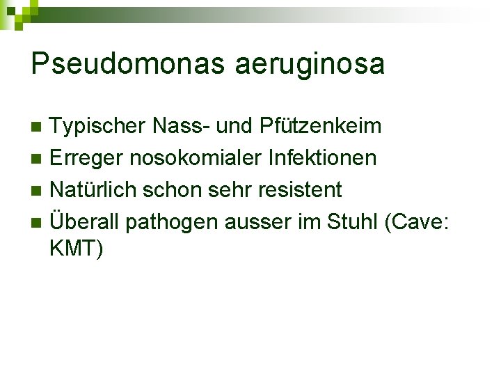 Pseudomonas aeruginosa Typischer Nass- und Pfützenkeim n Erreger nosokomialer Infektionen n Natürlich schon sehr