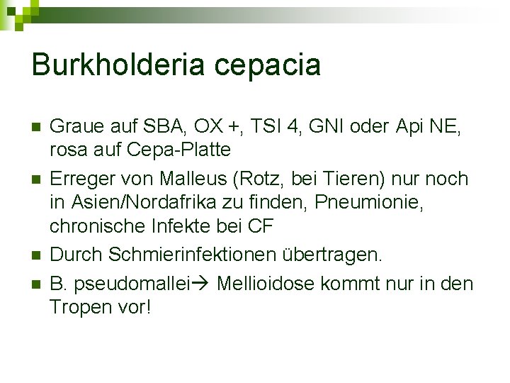 Burkholderia cepacia n n Graue auf SBA, OX +, TSI 4, GNI oder Api