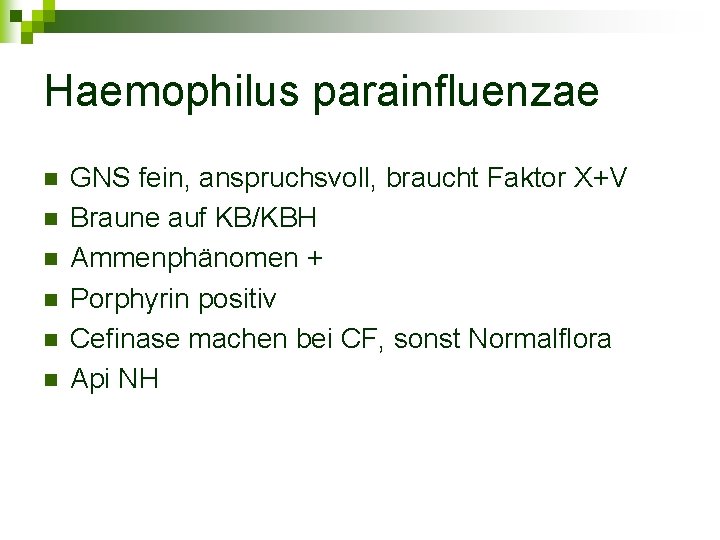 Haemophilus parainfluenzae n n n GNS fein, anspruchsvoll, braucht Faktor X+V Braune auf KB/KBH