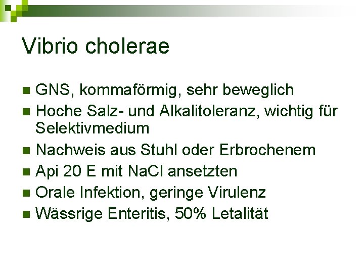 Vibrio cholerae GNS, kommaförmig, sehr beweglich n Hoche Salz- und Alkalitoleranz, wichtig für Selektivmedium