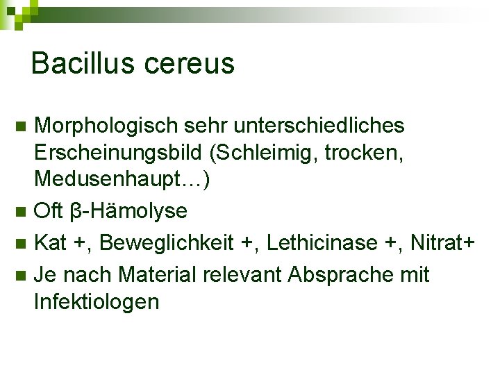 Bacillus cereus Morphologisch sehr unterschiedliches Erscheinungsbild (Schleimig, trocken, Medusenhaupt…) n Oft β-Hämolyse n Kat