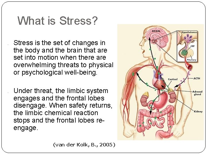 What is Stress? 8 Stress is the set of changes in the body and