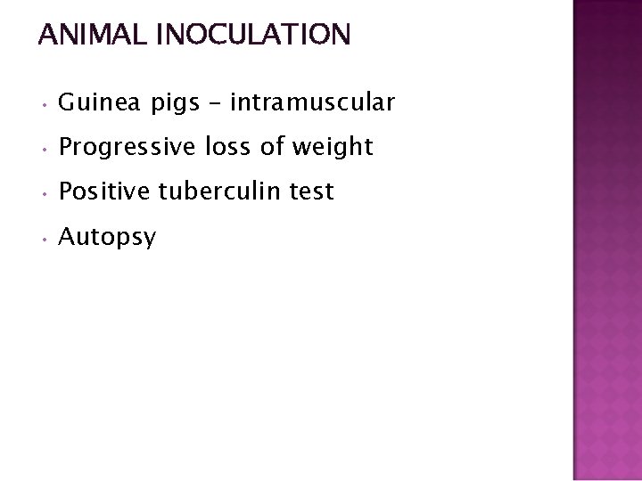 ANIMAL INOCULATION • Guinea pigs – intramuscular • Progressive loss of weight • Positive