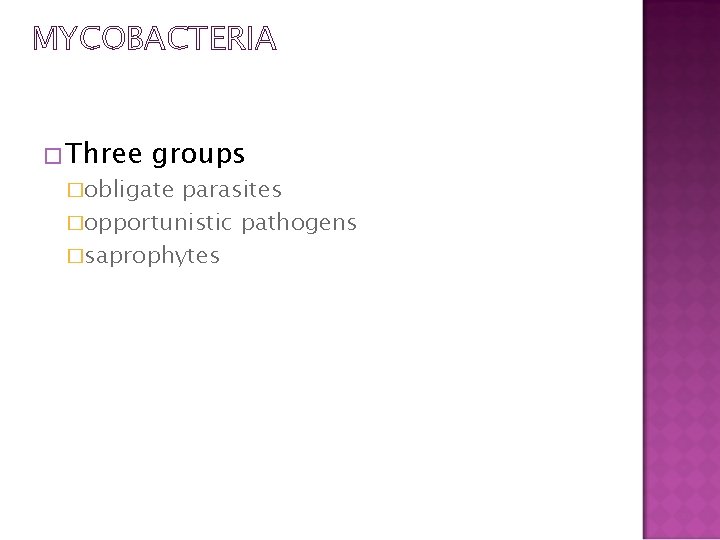 MYCOBACTERIA �Three groups �obligate parasites �opportunistic pathogens �saprophytes 