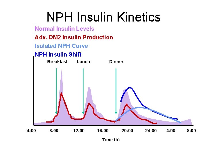 NPH Insulin Kinetics Normal Insulin Levels Adv. DM 2 Insulin Production Isolated NPH Curve