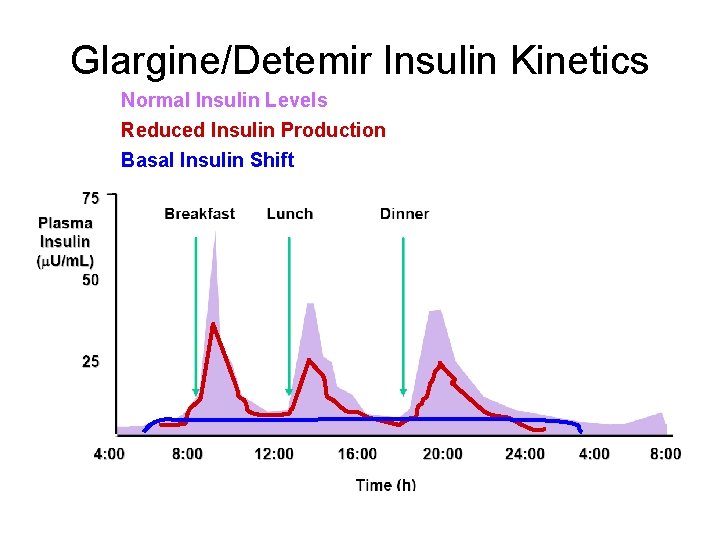 Glargine/Detemir Insulin Kinetics Normal Insulin Levels Reduced Insulin Production Basal Insulin Shift 