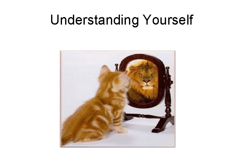 Understanding Yourself © 2009 Launch. Pad Careers, Inc. 