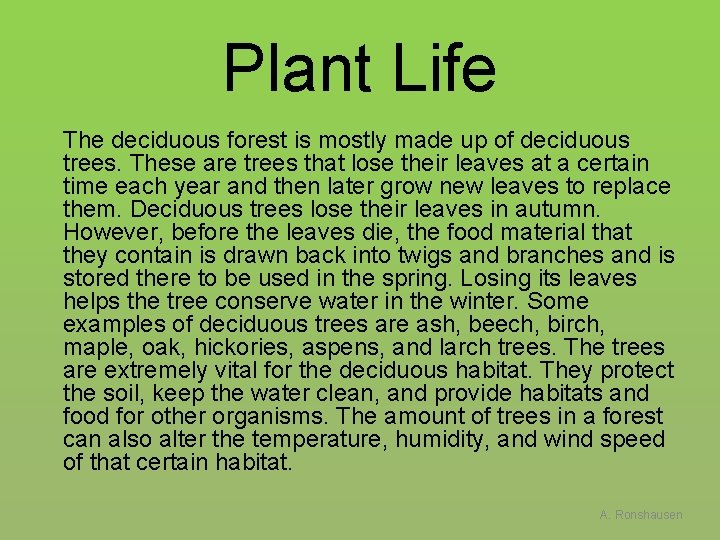 Plant Life The deciduous forest is mostly made up of deciduous trees. These are