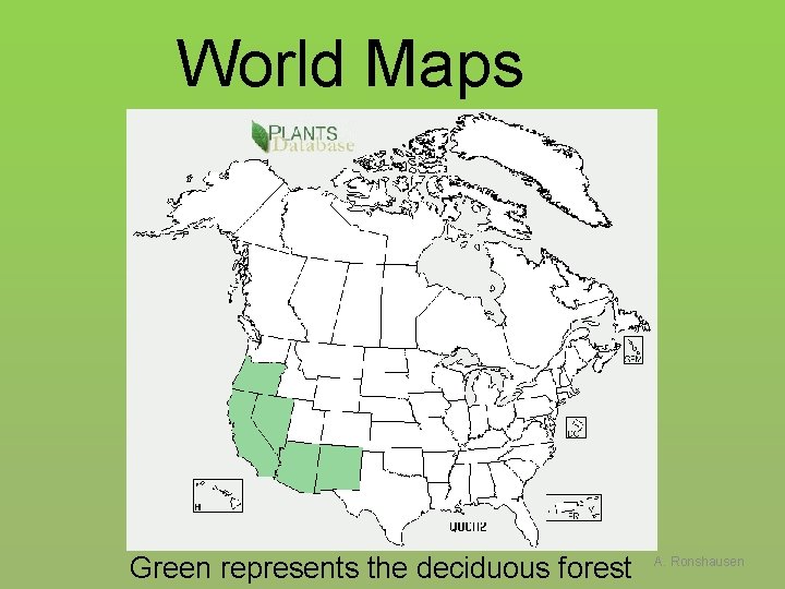 World Maps Green represents the deciduous forest A. Ronshausen 
