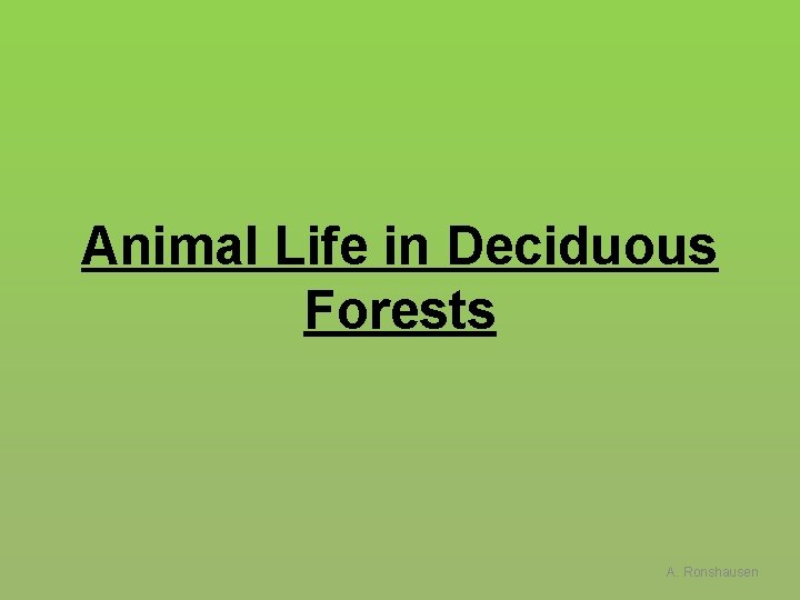 Animal Life in Deciduous Forests A. Ronshausen 