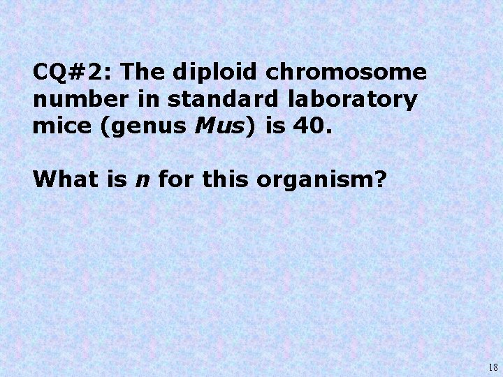 CQ#2: The diploid chromosome number in standard laboratory mice (genus Mus) is 40. What