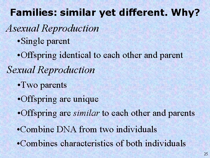 Families: similar yet different. Why? Asexual Reproduction • Single parent • Offspring identical to