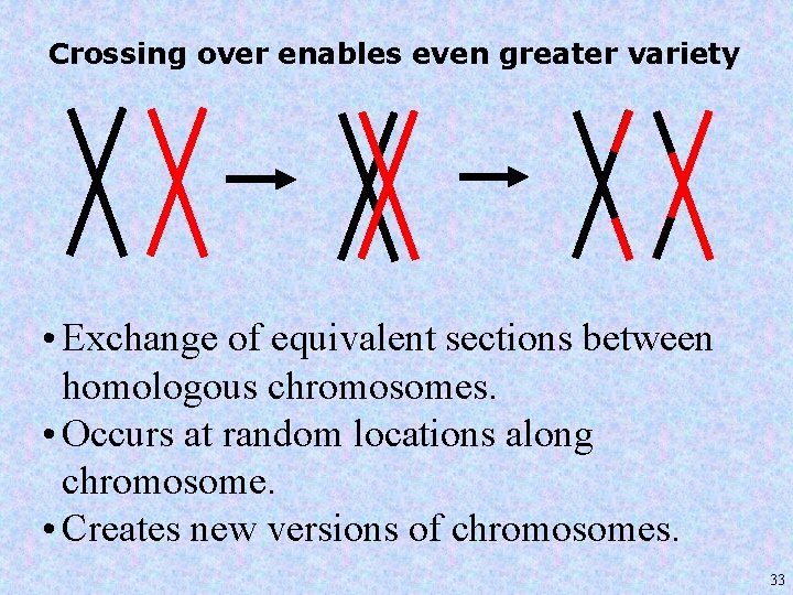 Crossing over enables even greater variety • Exchange of equivalent sections between homologous chromosomes.