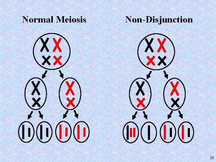 Normal Meiosis Non-Disjunction 39 