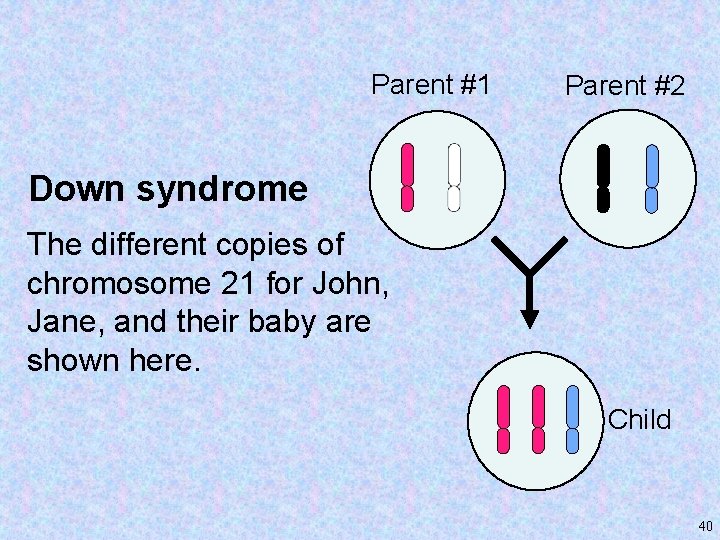 Parent #1 Parent #2 Down syndrome The different copies of chromosome 21 for John,