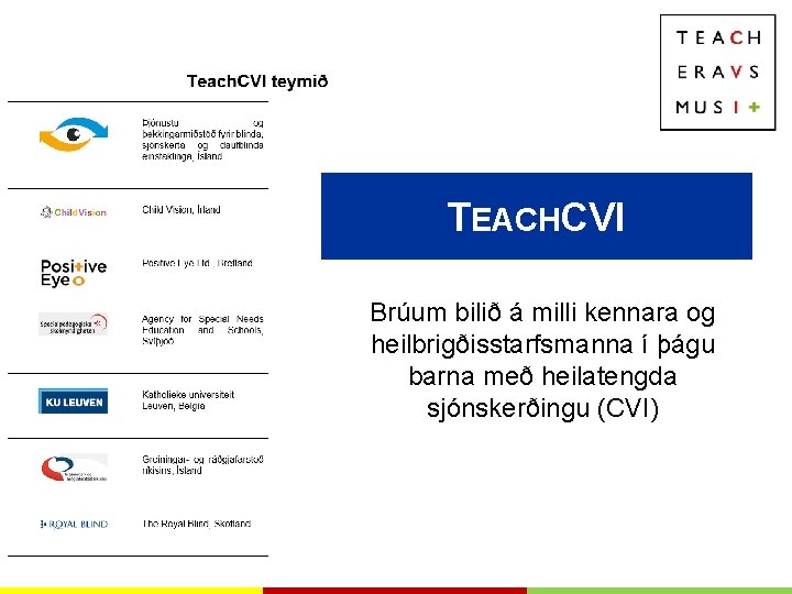 TEACHCVI Brúum bilið á milli kennara og heilbrigðisstarfsmanna í þágu barna með heilatengda sjónskerðingu