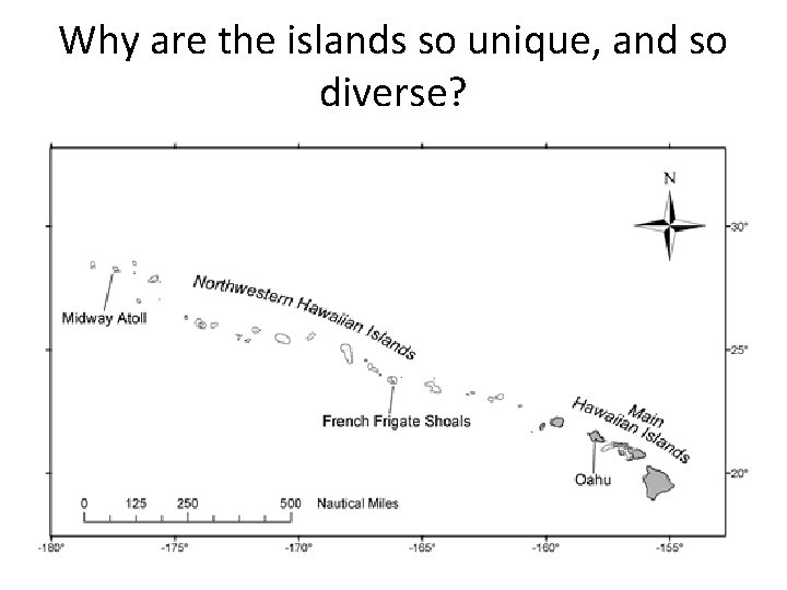 Why are the islands so unique, and so diverse? 