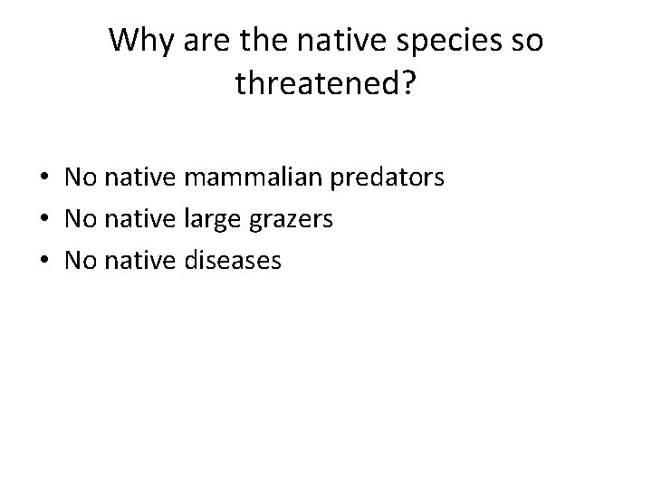 Why are the native species so threatened? • No native mammalian predators • No