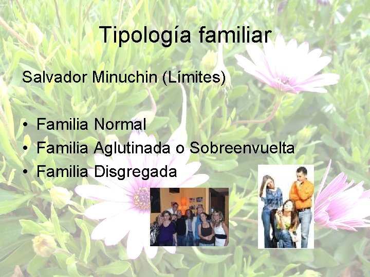 Tipología familiar Salvador Minuchin (Límites) • Familia Normal • Familia Aglutinada o Sobreenvuelta •