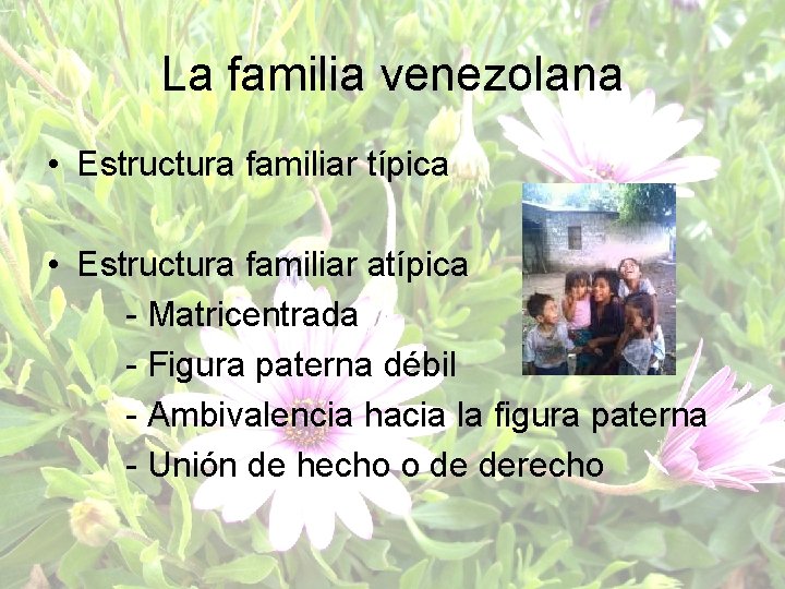 La familia venezolana • Estructura familiar típica • Estructura familiar atípica - Matricentrada -