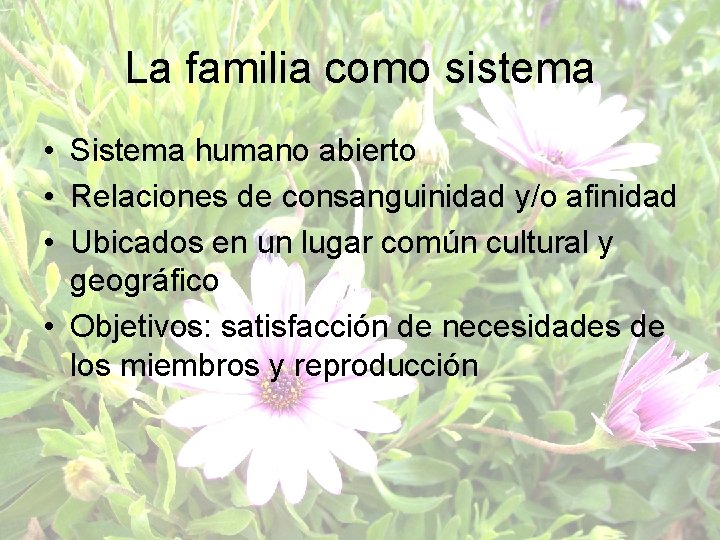 La familia como sistema • Sistema humano abierto • Relaciones de consanguinidad y/o afinidad