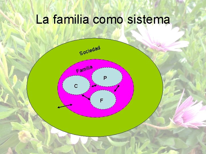 La familia como sistema d da ocie S ia il Fam P C F