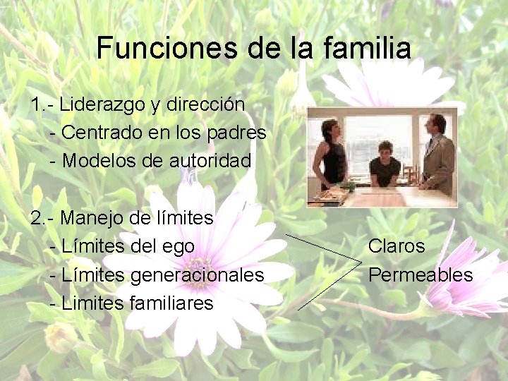 Funciones de la familia 1. - Liderazgo y dirección - Centrado en los padres