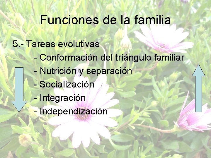 Funciones de la familia 5. - Tareas evolutivas - Conformación del triángulo familiar -