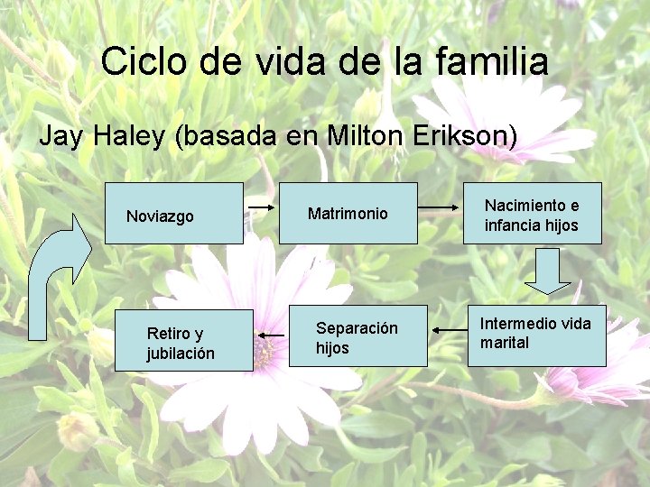 Ciclo de vida de la familia Jay Haley (basada en Milton Erikson) Noviazgo Retiro