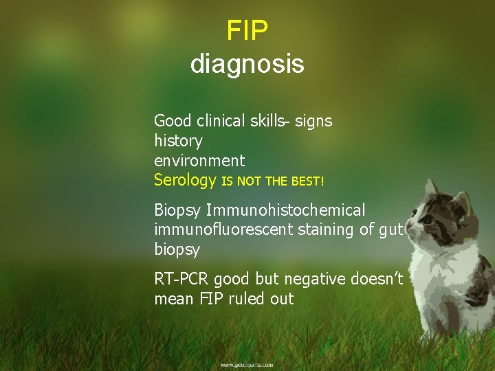 FIP diagnosis Good clinical skills- signs history environment Serology IS NOT THE BEST! Biopsy
