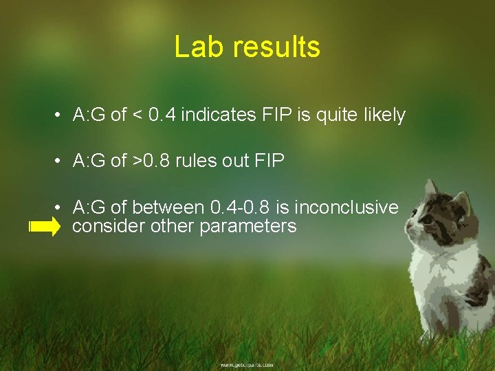 Lab results • A: G of < 0. 4 indicates FIP is quite likely